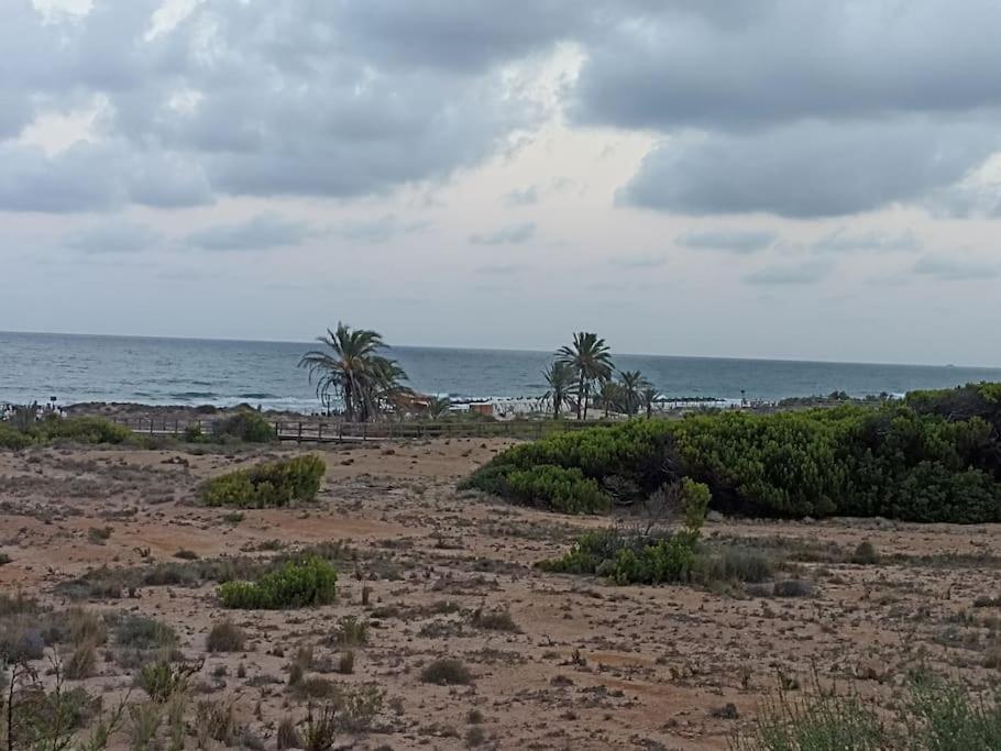 Bungalow En Primera Linea Del Mar Arenales del Sol Bagian luar foto