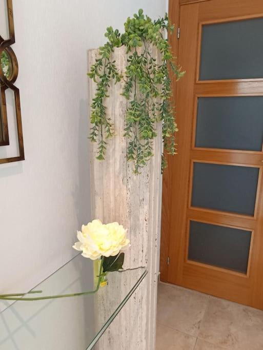 Bungalow En Primera Linea Del Mar Arenales del Sol Bagian luar foto